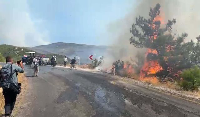 Aydın'daki orman yangınına müdahale devam ediyor