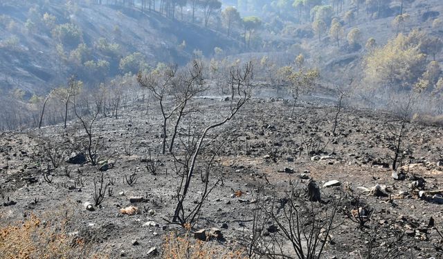 Balıkesir alevlerle mücadele ediyor