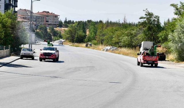 Büyükşehir’in ilaçlama seferberliği ilçe ilçe devam ediyor