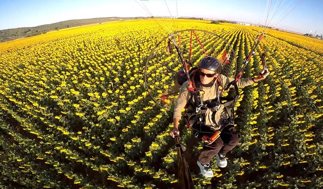 Edirne'nin 'sarı gelin'i ayçiçeği tarlaları üzerinde paramotorla uçtu