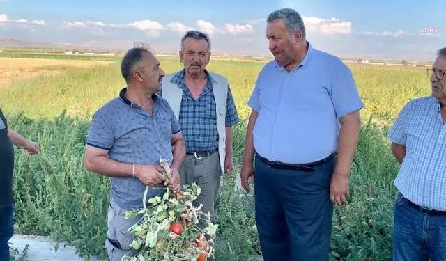 Gürer: Üretici borcunu ödeyemeyince icra kapıda