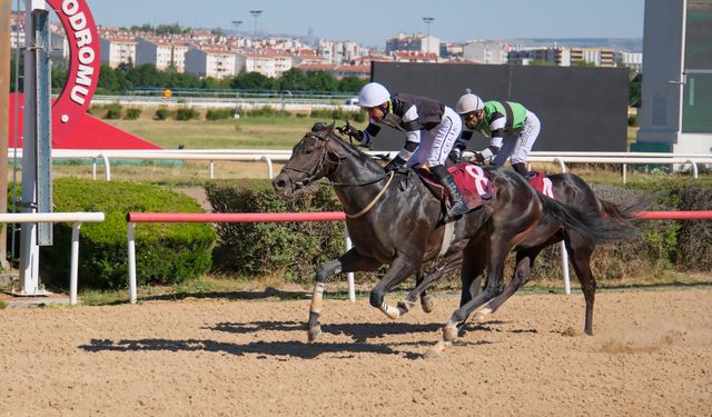 Ankara Gazeteciler Cemiyeti Koşusu'nda zafer King Luther'in