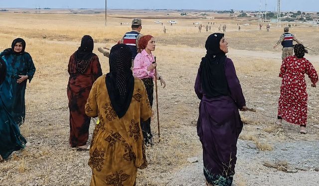 İki aile arasında pamuk tarlasında taşlı sopalı kavga; 8 yaralı
