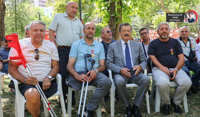 Kayalar: Kan bütçe yükü olarak değerlendirilmez