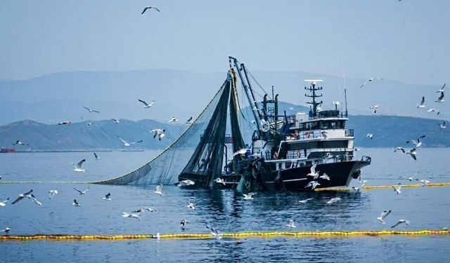 Prof. Dr. Yaşar: Ne kadar çok yağmur yağarsa o yıl o kadar çok balık avı olur