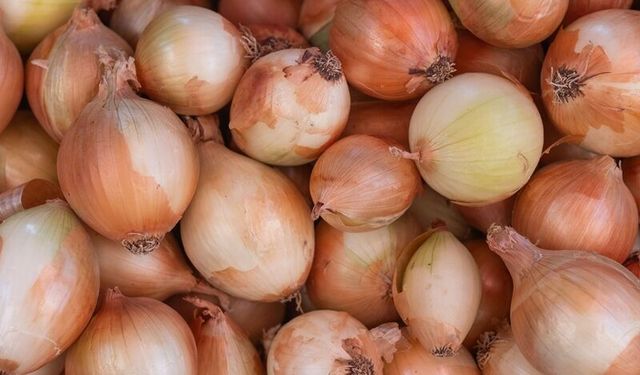 Kuru soğanda gümrük vergisi 31 Ağustos'a kadar yüzde 5'e indirildi
