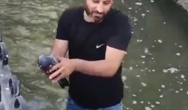 Su kanalına düşen güvercini kurtarıp, 'Boncuk' ismini verdi