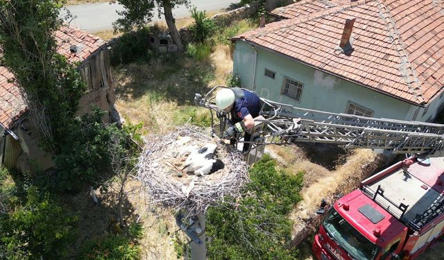 Yuvasında ayağına ip dolanan yavru leyleğe itfaiye yardımı