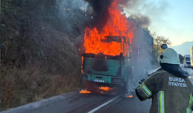 Talaş yüklü TIR alev alev yandı