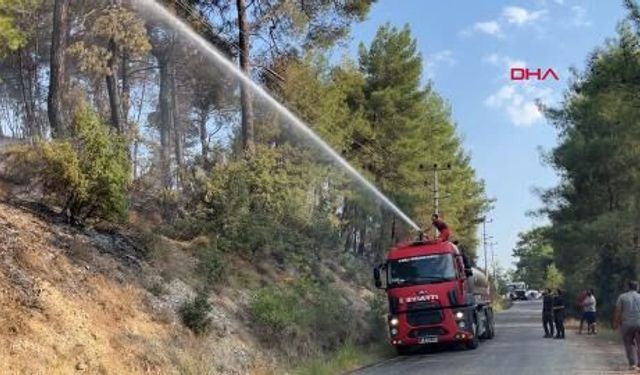 Muğla Seydikemer’de orman yangını kontrol altında