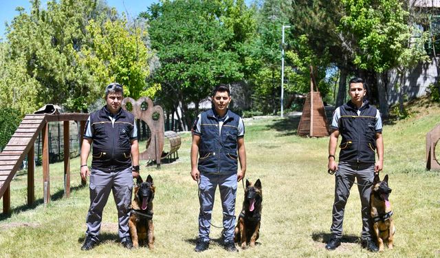 ABB’nin K9 ekipleri Başkent'te görev başında