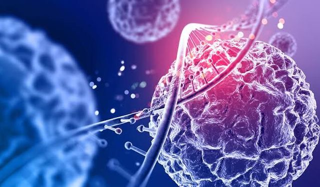 Kanser tedavisinin kalp üzerindeki etkileri 20 yıl sonra ortaya çıkabilir