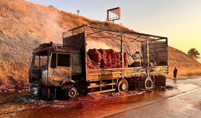 Manisa'da seyir halindeki TIR alev alev yandı