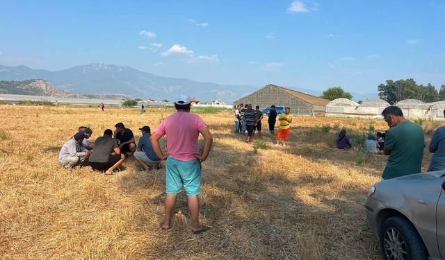 Muğla’da 4 gündür kayıp olarak aranıyordu, serada ölü bulundu