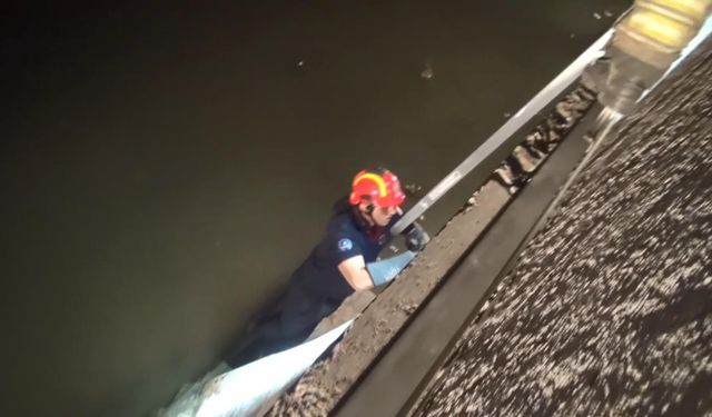 Silivri'de köprü ayağında mahsur kalan kediyi itfaiye kurtardı