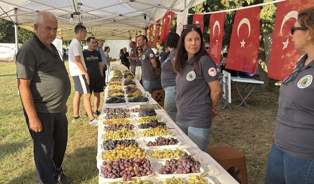 Tekirdağ'da 'Bağ Bozumu Şenliği' düzenlendi