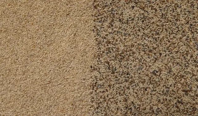 Toprak Mahsulleri Ofisi kilogramı 140 liradan haşhaş tohumu alacak