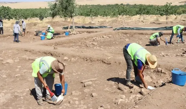 Çin'in Türkiye'deki ilk kazı projesi Şanlıurfa'daki Yoğunburç'ta yürütülüyor