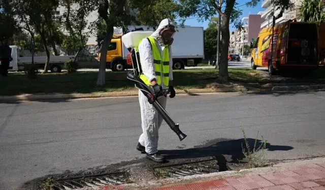Batı Nil virüsünde yüksek dolaşım döneminin eylül sonuna kadar sürebileceği bildirildi
