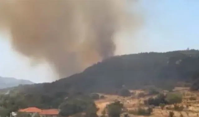 Kaş'ta çıkan orman yangını kontrol altına alındı