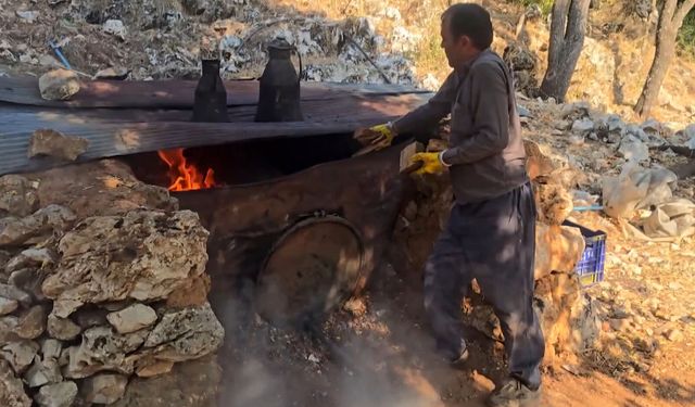Üretimi zahmetli sedir katranının kilosu 1000 lira