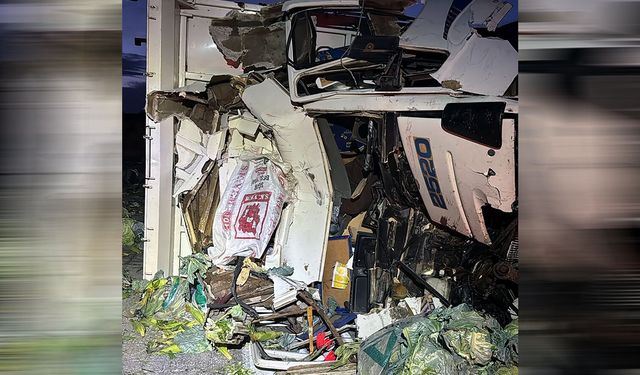 Mersin'de TIR'a çarpan sebze yüklü kamyonun şoförü öldü
