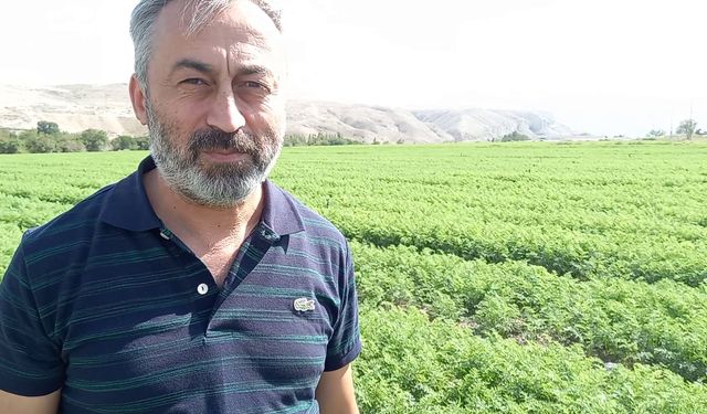 Beypazarı'nda 600 bin dekardan fazla alanda tarımsal üretim yapılıyor