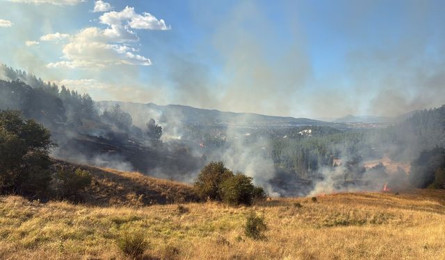 Burdur'da orman yangını havadan ve karadan müdahaleyle kontrol altına alındı