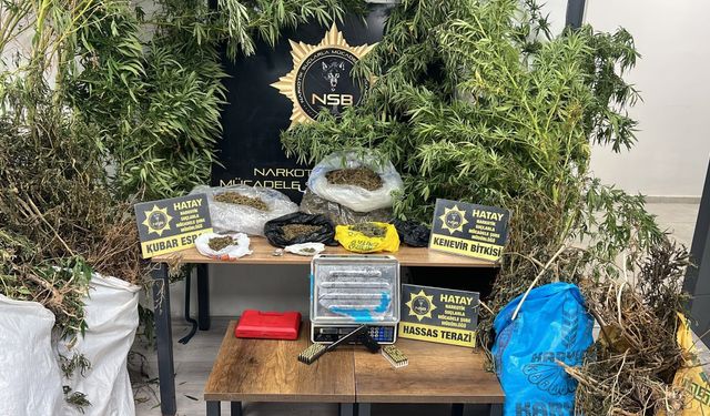 Hatay'da 122 kök Hint keneviri ve 14 kilo 752 gram kubar esrar ele geçirildi; 1 şüpheli tutuklandı
