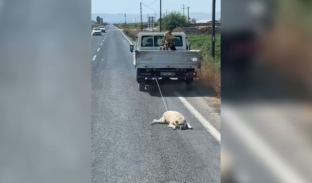 Köpeği kamyonetin arkasına bağlayıp sürükleyerek götürdü