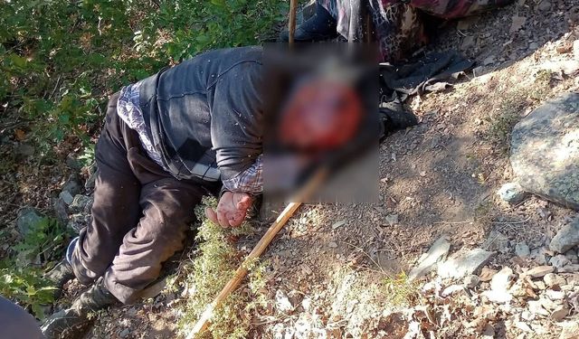 Kuşburnu toplarken 30 metreden yuvarlanıp yaralandı