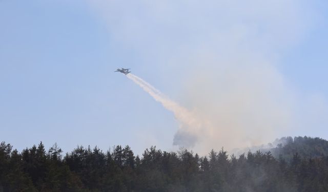 OGM: Eylülün ilk 8 günü 146 orman yangını çıktı