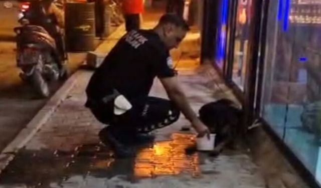 Silahla vurularak yaralanan sokak köpeğine polis ekipleri sahip çıktı