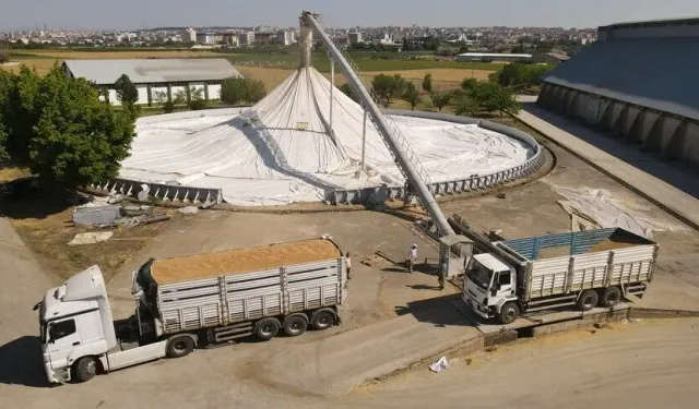 TMO, bu yıl 12,3 milyon ton hububat aldı