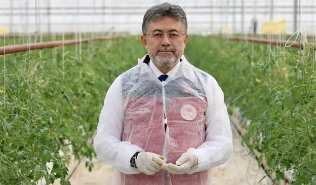 Tarım ve Orman Bakanı Yumaklı: Örtü altı üretimde dünyada dördüncü, Avrupa'da ikinci sıradayız