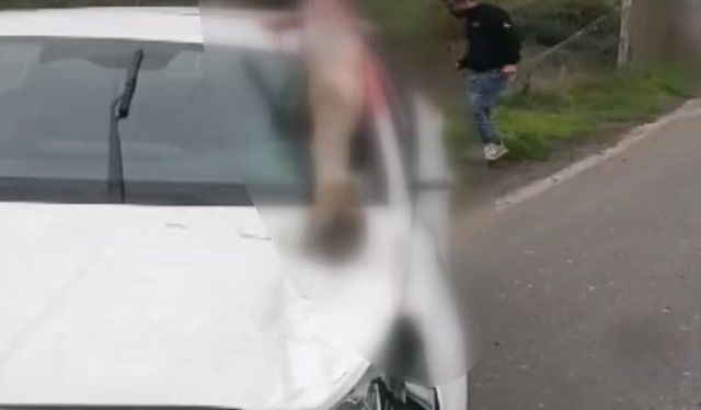 Arnavutköy’de otomobil ata çarptı; 3 yaralı