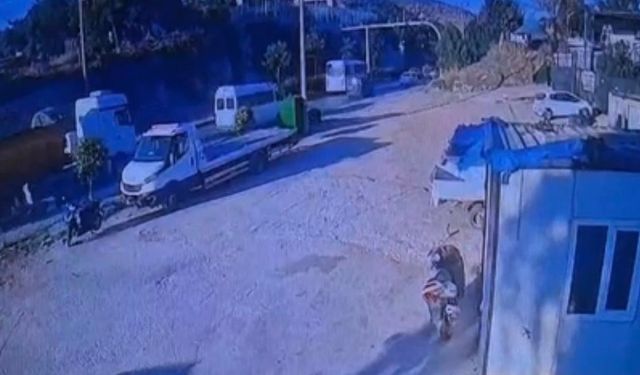 Bodrum'da TIR ile motosiklet çarpıştı, 1 ölü