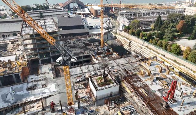 Haliç’in kıyısındaki inşaatın ortasında kalan ağaç havadan görüntülendi