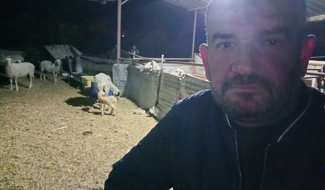 Koyunlarını otlatırken ölü bulundu