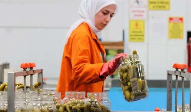 Türkiye'nin 9 aylık turşu ihracatı 301 milyon doları aştı