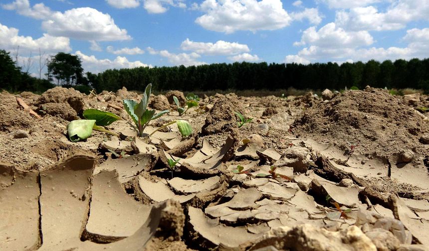 Kurak bölgelerde iklim krizine karşı yol haritası