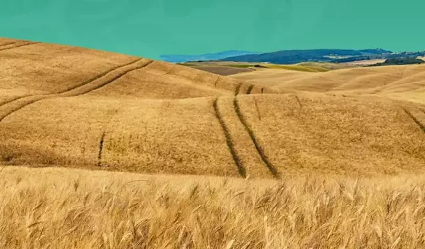 BAE’den iklim odaklı yatırım aracına 30 milyar dolar