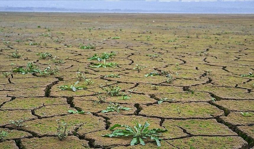 İklim hedeflerine ulaşmanın maliyeti artıyor