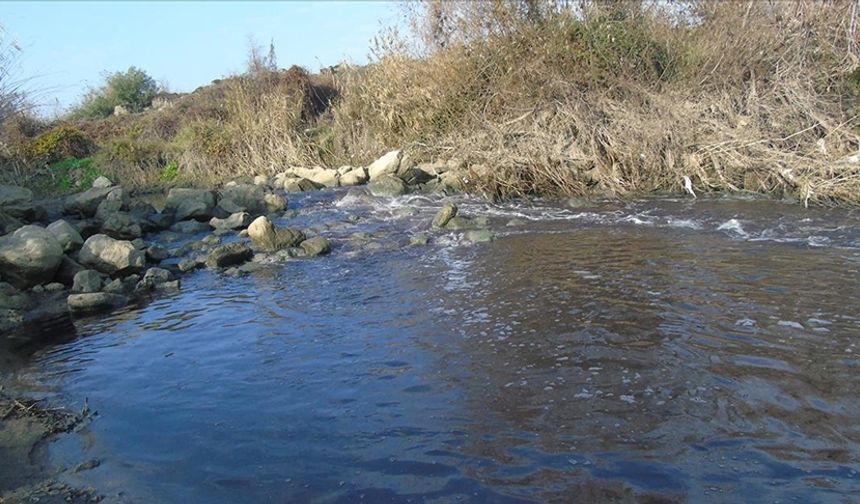 Gaziantep'teki Karasu Çayı renk değiştirdi