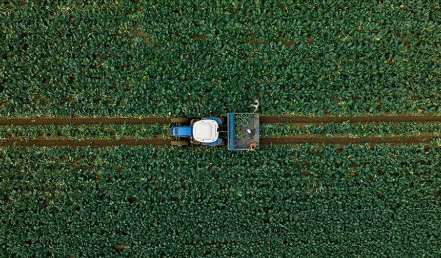 Çiftçilere 350 milyon 968 bin lira tarımsal destekleme ödemesi bugün yapılacak