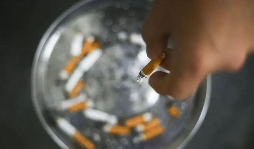 Tütün kullanımı akciğer kanseri riskini 20 kata kadar artırıyor