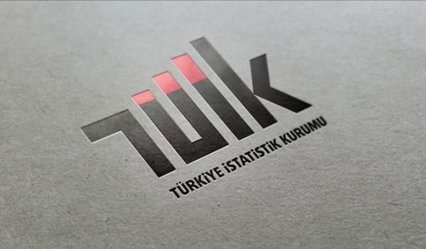 TÜİK, "grid" detayında eğitim istatistiklerini paylaşıma açtı