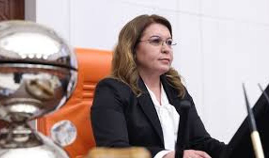 CHP’li Biçer Karaca’dan avukatlık mesleğine yönelik iki kanun teklifi