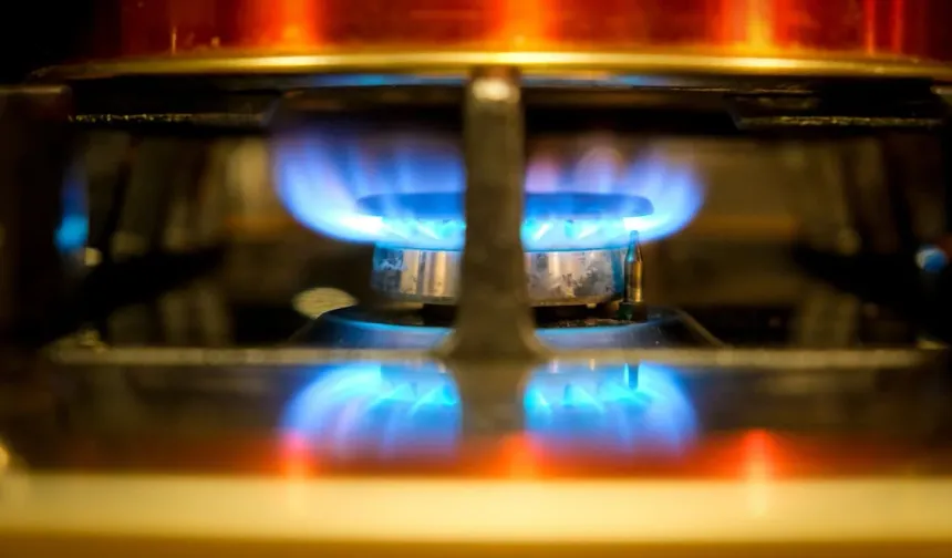 Doğal gaz ithalatı temmuzda yüzde 22 azaldı