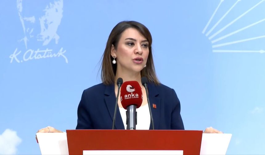 CHP'li Taşcıer: Sri Lanka, Kosta Rika ve Tayland da bile çalışma saatleri Türkiye'den daha az